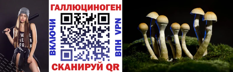 Галлюциногенные грибы прущие грибы  ОМГ ОМГ сайт  Бирюсинск 